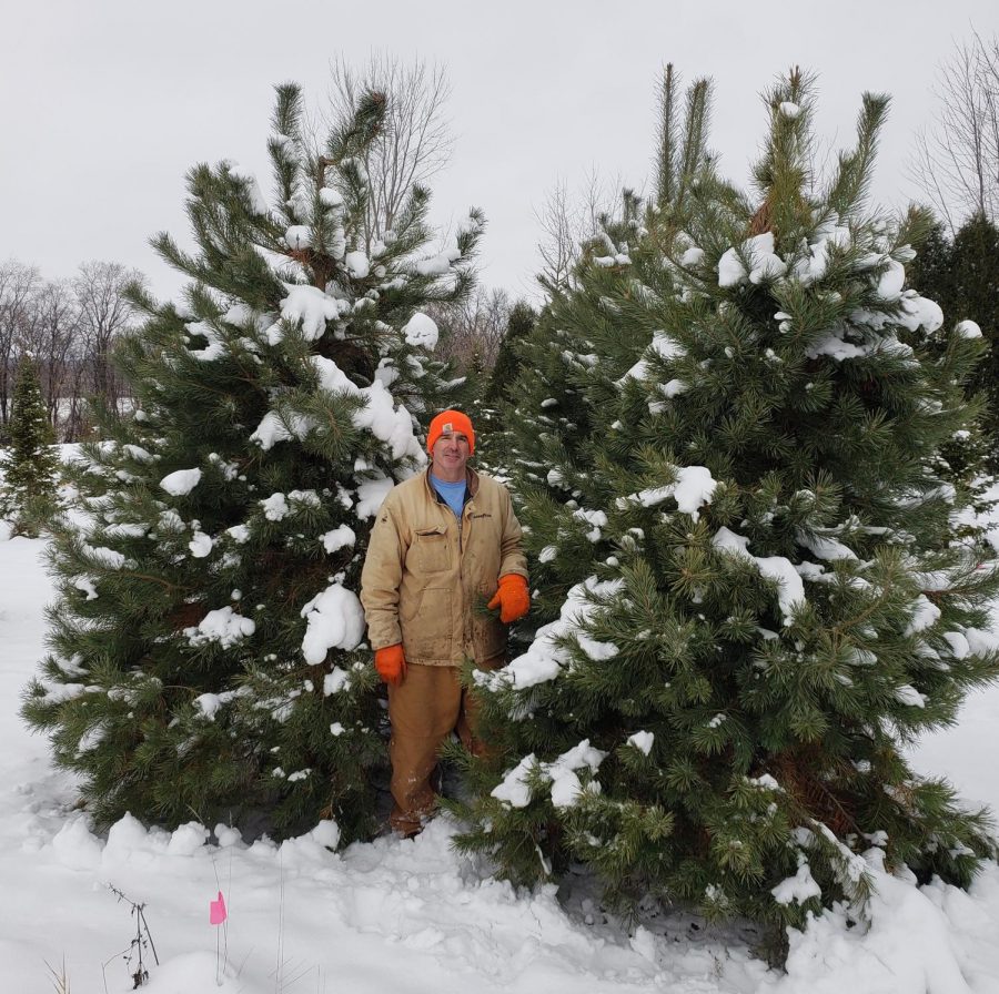 Mr. Tikalsky shows off some of his best trees.