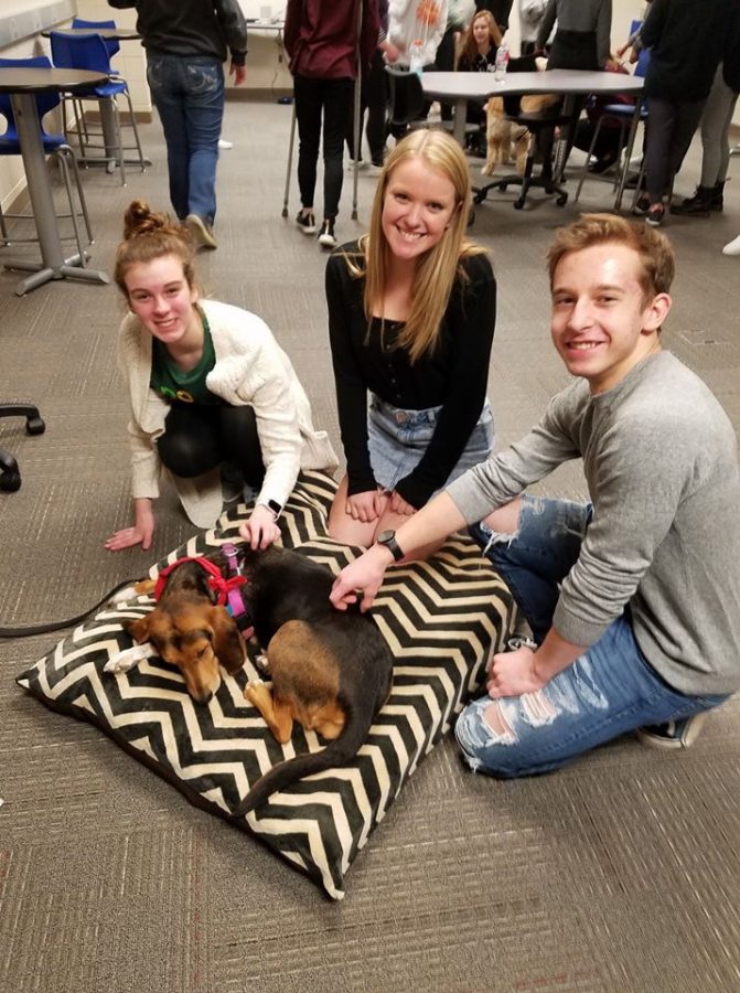 Therapy+dogs+help+students+cope+with+finals