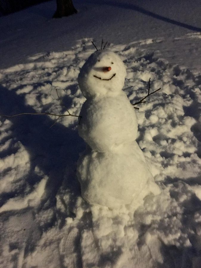 Other snowpeople submitted to contest