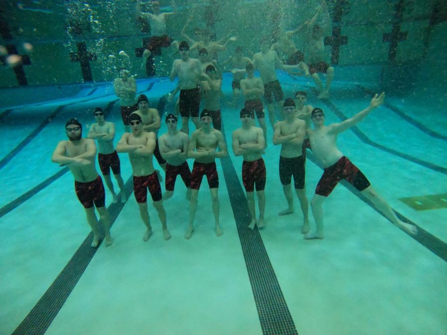 Boys swim and dive update